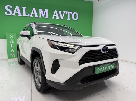 Toyota RAV4 2024
