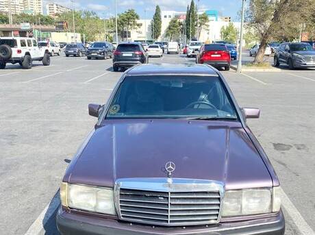 Mercedes 190 1991