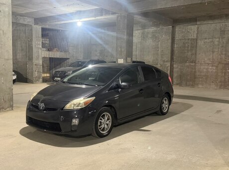 Toyota Prius 2010