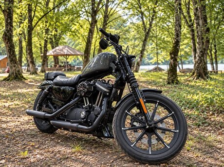 Harley-Davidson XL883N Sportster Iron 883 2022
