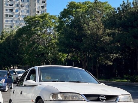 Opel Vectra 2000