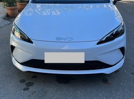 BYD  2025