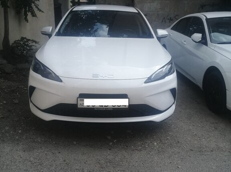 BYD  2025