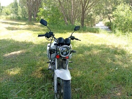 Suzuki  2006