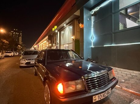 Mercedes 190 1991