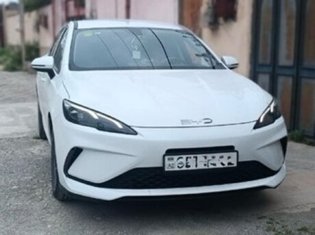 BYD  2025