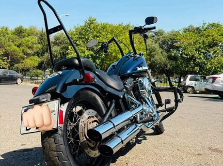 Harley-Davidson  2011