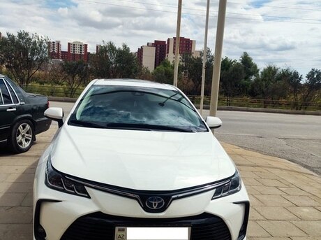 Toyota Corolla 2023