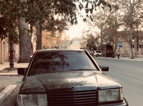 Mercedes 190 1991