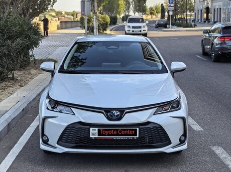 Toyota Corolla 2024