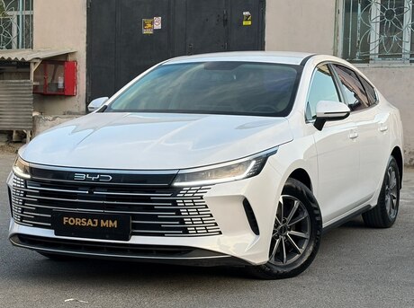 BYD Destroyer 05 2024