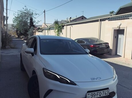 BYD  2025