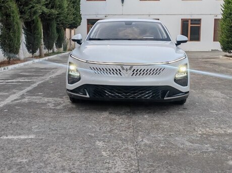 Wuling  2023