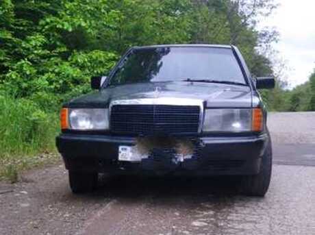 Mercedes 190 1993
