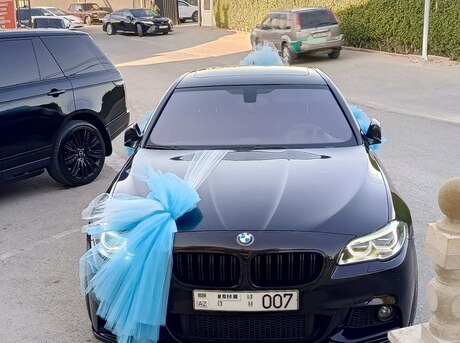 BMW 528 2012