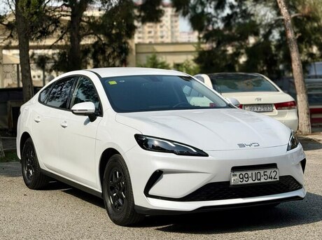 BYD  2025