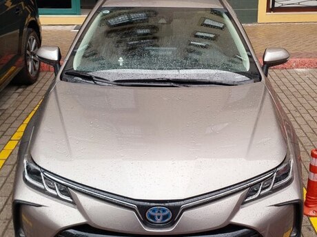 Toyota Corolla 2023