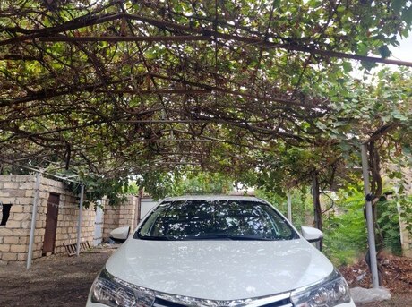 Toyota Corolla 2014