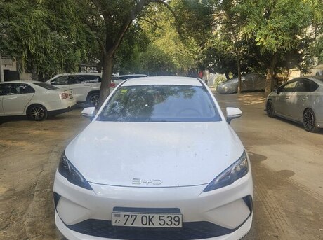BYD  2025