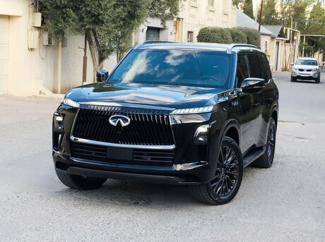 Infiniti QX80 2025