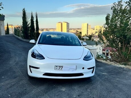 Tesla Model 3 2020
