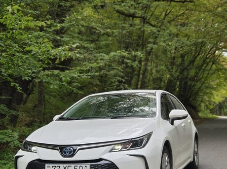 Toyota Corolla 2023