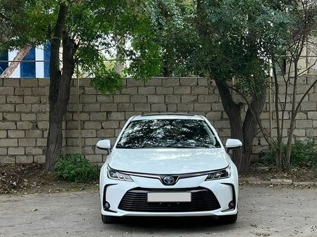 Toyota Corolla 2023