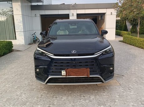 Lexus  2024