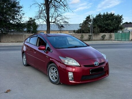 Toyota Prius 2010