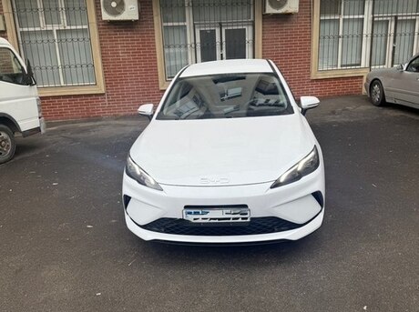 BYD  2025