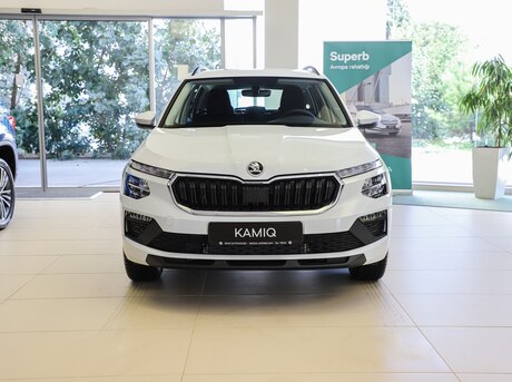 Skoda Kamiq 2024