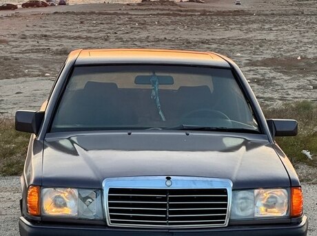 Mercedes 190 1991