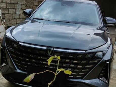 Changan  2025