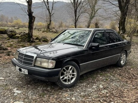 Mercedes 190 1991