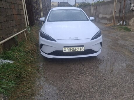 BYD  2025