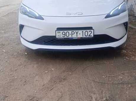 BYD  2025