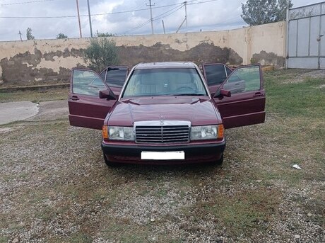 Mercedes 190 1991