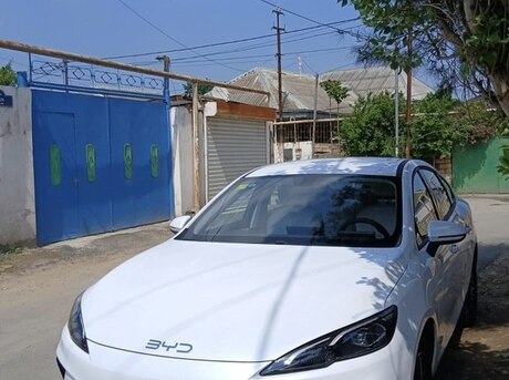 BYD  2025
