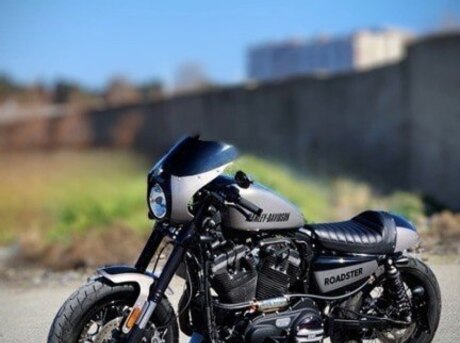 Harley-Davidson  2016