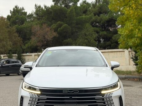BYD Destroyer 05 2024