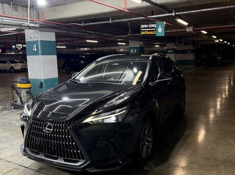 Lexus NX 350h 2023