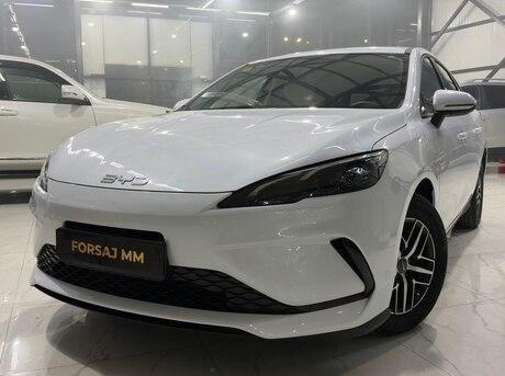 BYD  2025