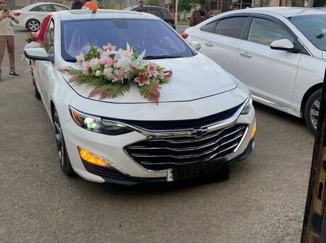 Chevrolet Malibu 2021