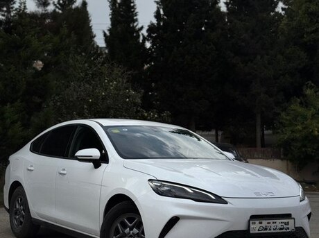 BYD  2025