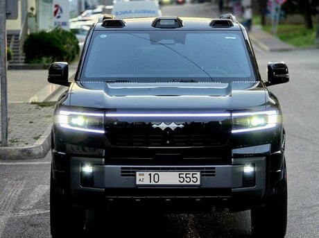 BYD  2025