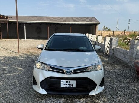 Toyota Corolla Fielder 2020