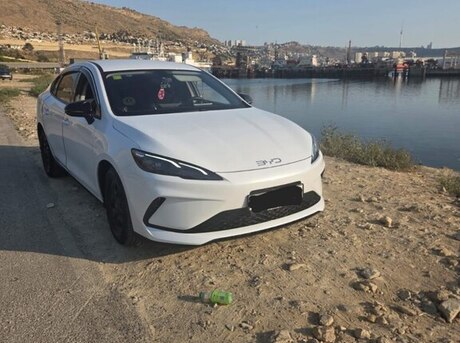 BYD  2025