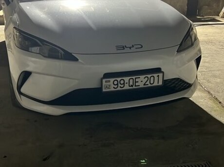 BYD  2025