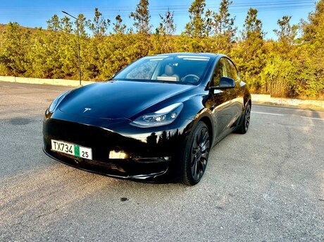 Tesla Model Y 2024