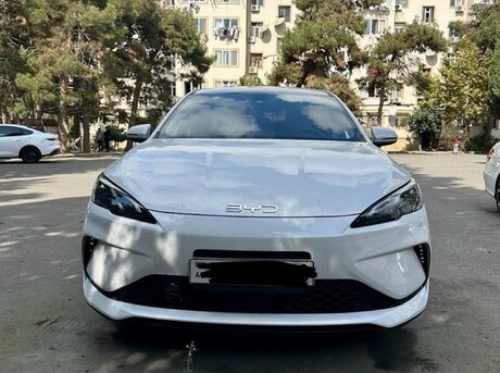 BYD  2025